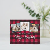 Papier Budget Red Plaid Custom Pet Chien Photo Noël (Debout devant)