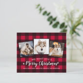 Papier Budget Red Plaid Pet Photo Collage Chien vacances (Debout devant)