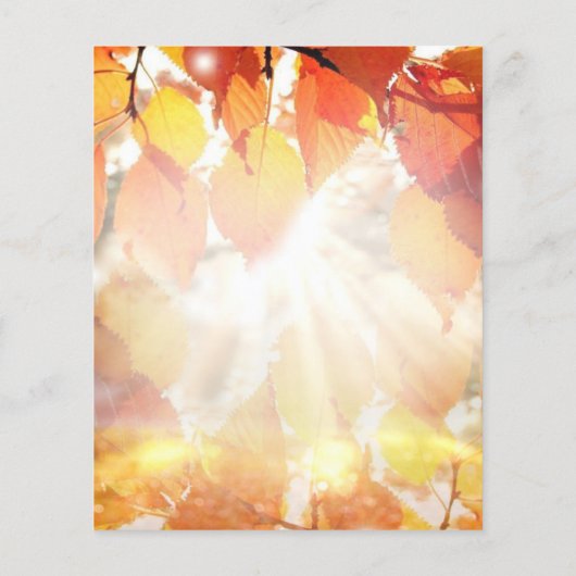 Papier Budget Rustic Autumn Forest Faire-part de mariage (Dos)