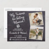 Papier Budget Rustic Chien Mariage Enregistrer La Date Ca (Devant / Derrière)