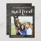 Papier Budget Rustique Cheval Mariage Equin Enregistrer L (Devant / Derrière)