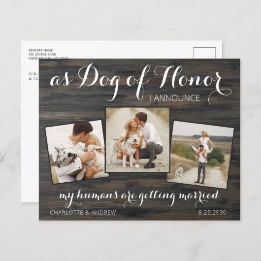 Papier Budget Rustique Mariage de chien Enregistrer la da (Devant / Derrière)