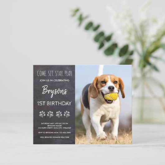 Papier Budget S'Asseoir Rester Chalkboard Chien Chien Chi (Debout devant)