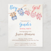 Papier Budget sexe révéler invitation de parti rustique v (Devant)