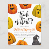 Papier Budget Trick or Treat Halloween fête d'anniversair (Devant)