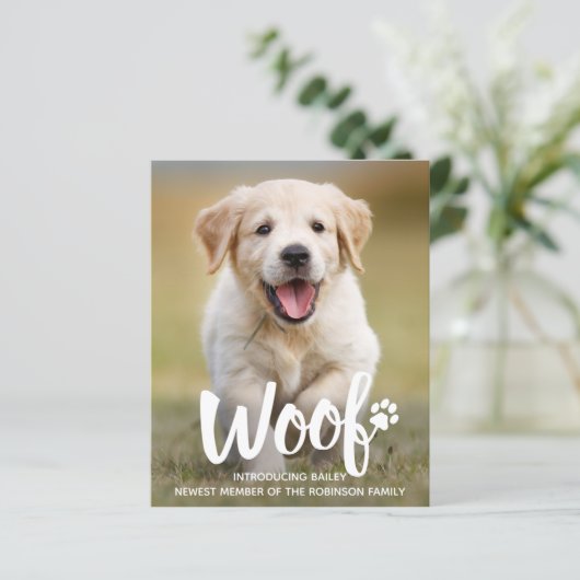 Papier Budget Woo Photo Chien Chien Chien Nouveau Faire-p (Debout devant)