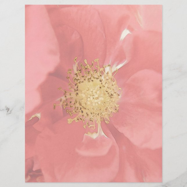 Papier Bush Roses Mono (Devant)