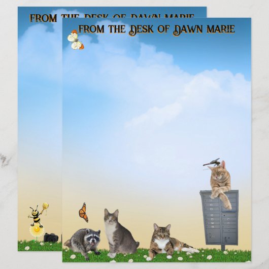 Papier Butterfly, Dragonfly, Raccoon, and Summer Fun (Devant / Derrière)