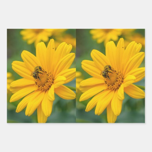 Papier cadeau (Devant 2)