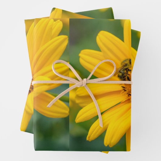 Papier cadeau (En situation)