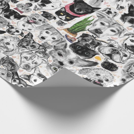 papier cadeau (Coin)