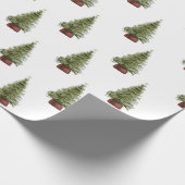 Papier Cadeau (Coin)