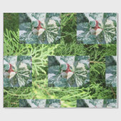 Papier cadeau (Plat)