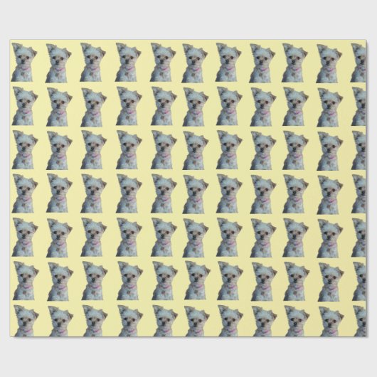 Papier cadeau (Plat)