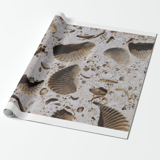 Papier cadeau (Déroulé)