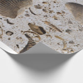 Papier cadeau (Coin)