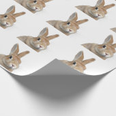 PAPIER CADEAU ウサギ (Coin)