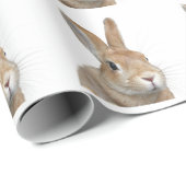 PAPIER CADEAU ウサギ (Coin rond)