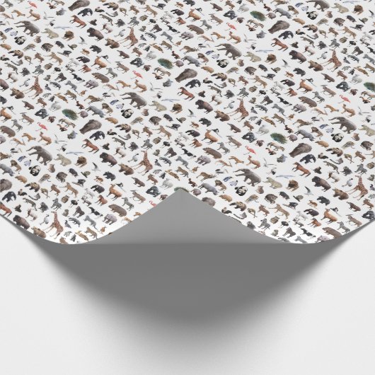 PAPIER CADEAU 動物たち (Coin)