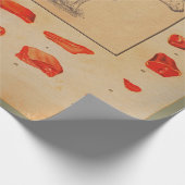 Papier Cadeau 100 % boeuf (Coin)