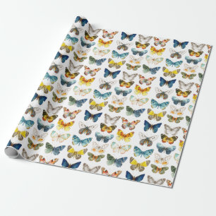 Papier Cadeau 13 beaux papillons insecte art aquarelle