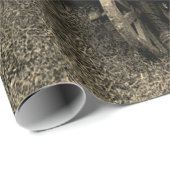 Papier Cadeau 1890's photo Heirloom Jardin Mère Fille filles (Coin rond)