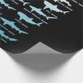 Papier Cadeau 21 types de sharks (Coin)