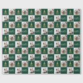 Papier Cadeau 2 Photo Elégant Joyeux Noël Or Vert (Plat)