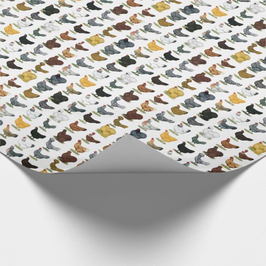 Papier Cadeau 49 poules de poulet (Coin)