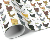 Papier Cadeau 49 poules de poulet (Coin rond)