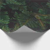 Papier Cadeau À feuillage persistant (Coin)