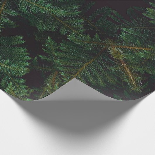 Papier Cadeau À feuillage persistant (Coin)