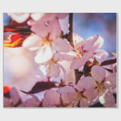 Papier Cadeau À L'Intérieur D'Un Sakura Tree (Plat)