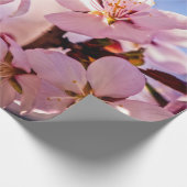 Papier Cadeau À L'Intérieur D'Un Sakura Tree (Coin)