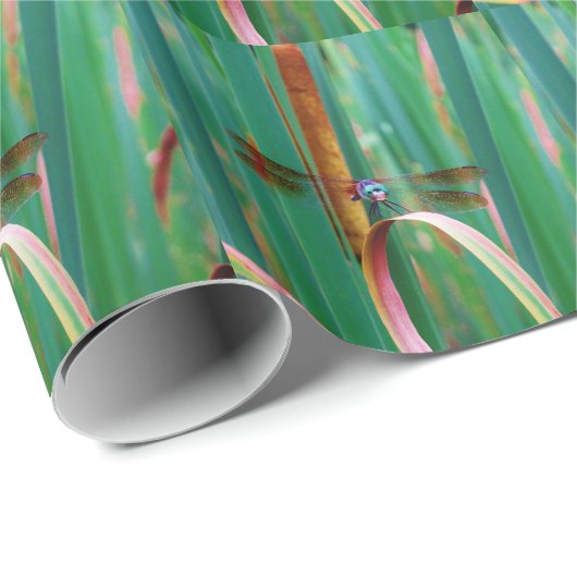 Papier Cadeau A teal Eyed Dragonfly with cattails (Coin rond)