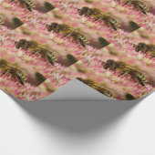 Papier Cadeau Abeille De Miel Occidental Sur Sedum (Coin)