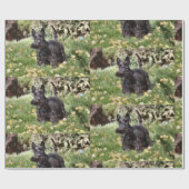 Papier Cadeau Ach ! (Plat)