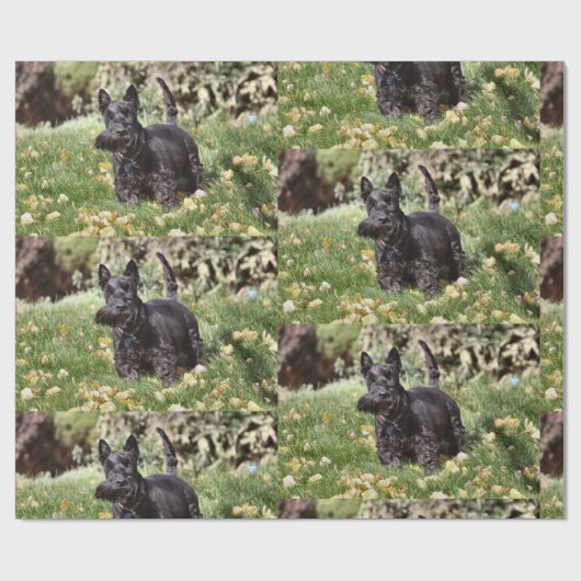 Papier Cadeau Ach ! (Plat)