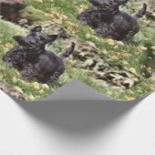 Papier Cadeau Ach ! (Coin)