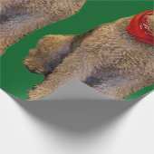 Papier Cadeau Acorn Wrapping Paper (Coin)