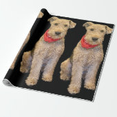 Papier Cadeau Acorn Wrapping Paper - Black (Déroulé)