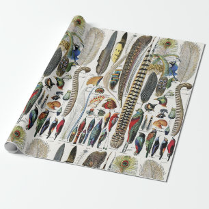 Papier Cadeau Adolphe Millot Dark Academia Vintage Plume d'Oisea