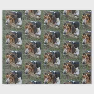 Papier Cadeau Adorable Beagle mâchant un os