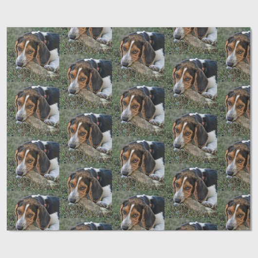 Papier Cadeau Adorable Beagle mâchant un os (Plat)