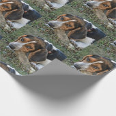 Papier Cadeau Adorable Beagle mâchant un os (Coin)