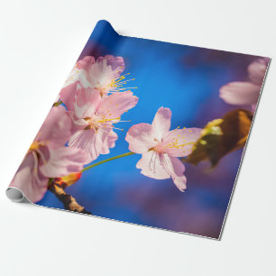 Papier Cadeau Adorable Sakura Blossoms
