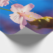Papier Cadeau Adorable Sakura Blossoms (Coin)