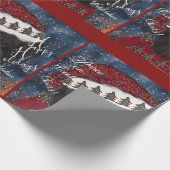 Papier Cadeau Affenpinscher (Coin)