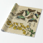 Papier Cadeau Affiches de Decoupage de Français de papillon (Déroulé)