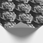 Papier Cadeau africaine lion mâle closeup macro (Coin)